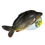 Karp cały patroszony (ok. 2 kg)