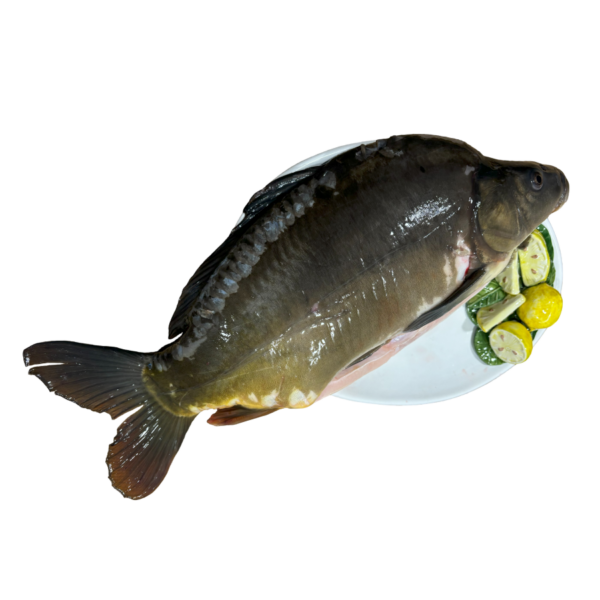 Karp cały patroszony (ok. 2 kg)
