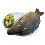 Karp cały patroszony (ok. 2 kg) - obrazek 2