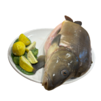 Karp cały patroszony (ok. 2 kg) - obrazek 3